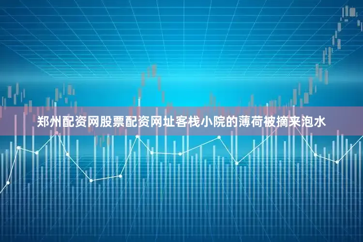郑州配资网股票配资网址客栈小院的薄荷被摘来泡水