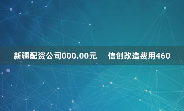 新疆配资公司000.00元     信创改造费用460